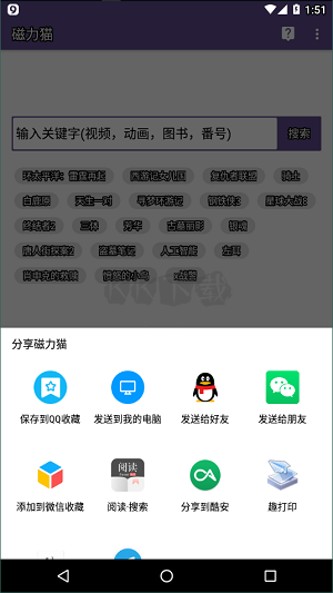 磁力貓高級(jí)版