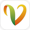 羊城通安卓版app v8.7綠色版