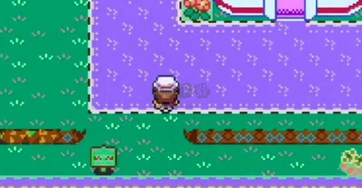 精靈寶可夢無限大道漢化版