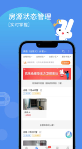 巴樂兔房東綠色版