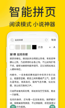 viax瀏覽器客戶端