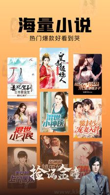 洋蔥小說app最新版