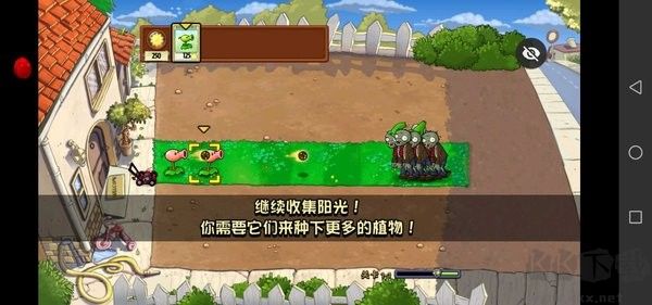 植物大戰僵尸最新小葵花版