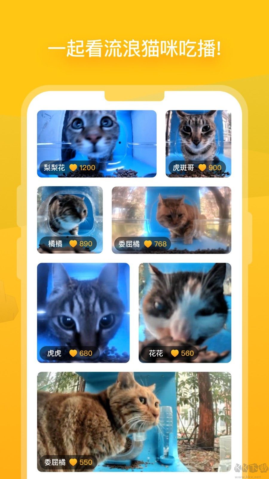 哈啰街貓最新版本