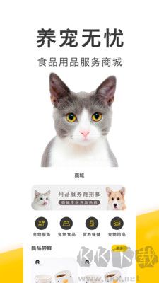 買只寵物正版