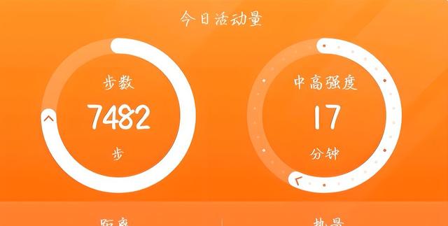 華為運動健康app軟件版本合集-華為運動健康各種版本推薦-華為運動健康實用版本大全