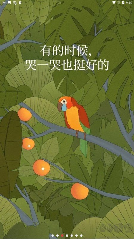 孤獨的鳥兒中文版