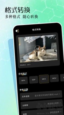 二皮剪輯正版