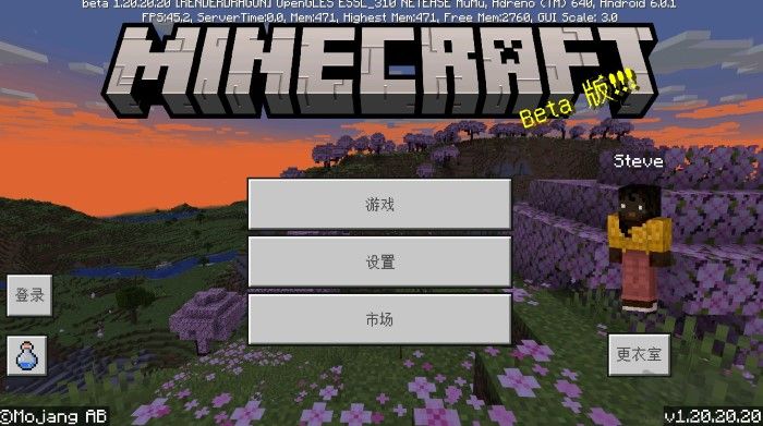 我的世界國際版