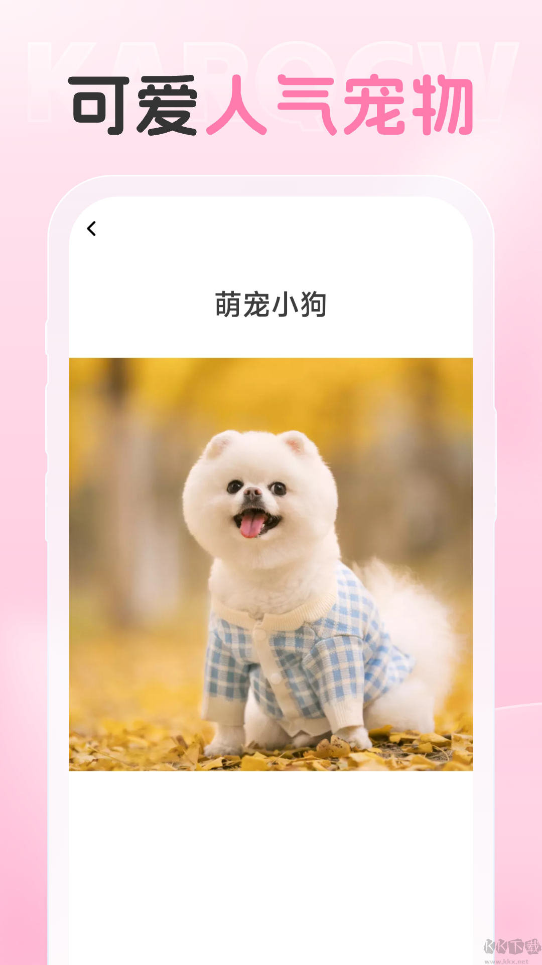 愛炫相機(jī)app綠色版