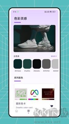 色素解析正版