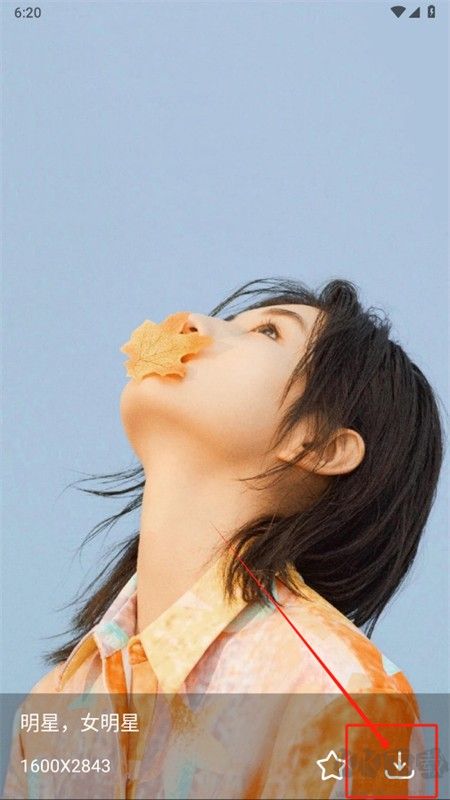 Guge搜圖app官方手機版 Guge搜圖app官方手機版