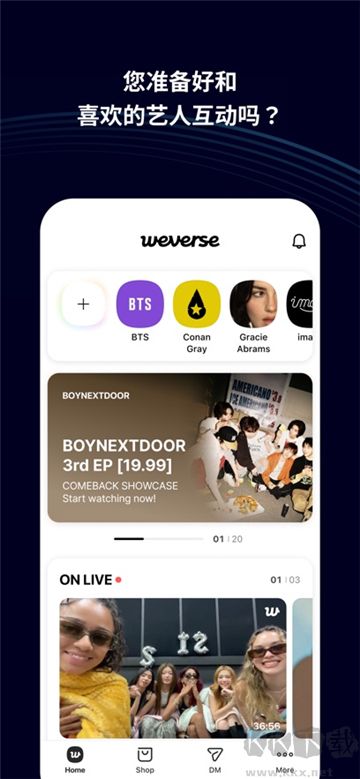 weverse綠色版