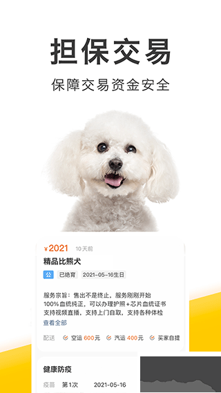 買只寵物