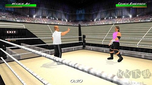 摔跤革命3d