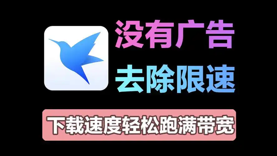 迅雷極速版綠色下載安裝_支持磁力鏈/種子高速下載_迅雷電腦版本合集