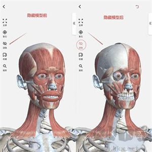 使用教程截圖3