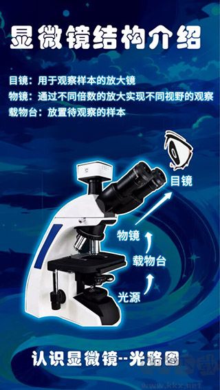 赫鯉app