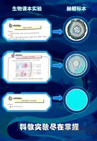 赫鯉app