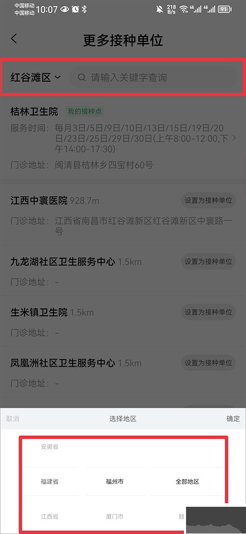 小豆苗