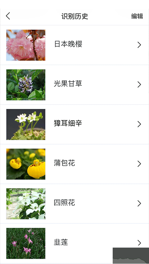 識花APP