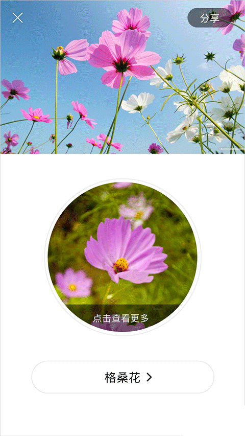 識花APP