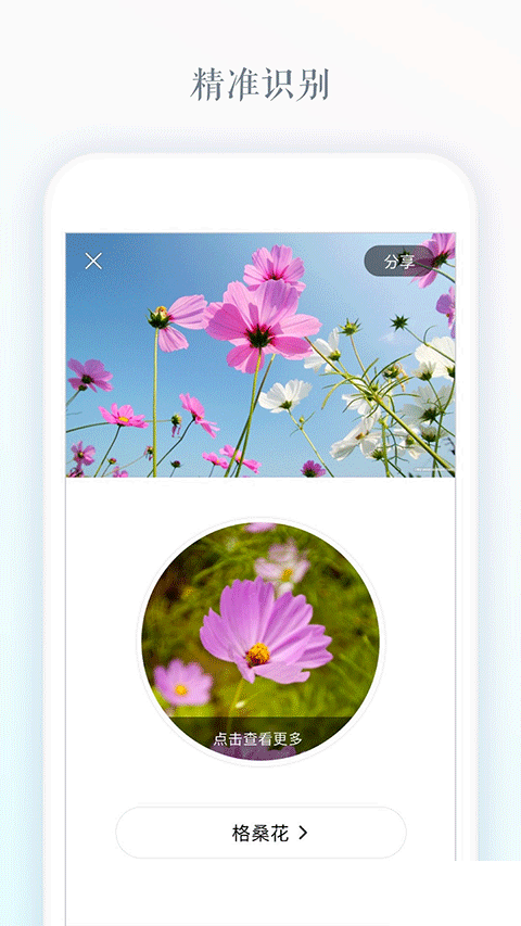 識花app