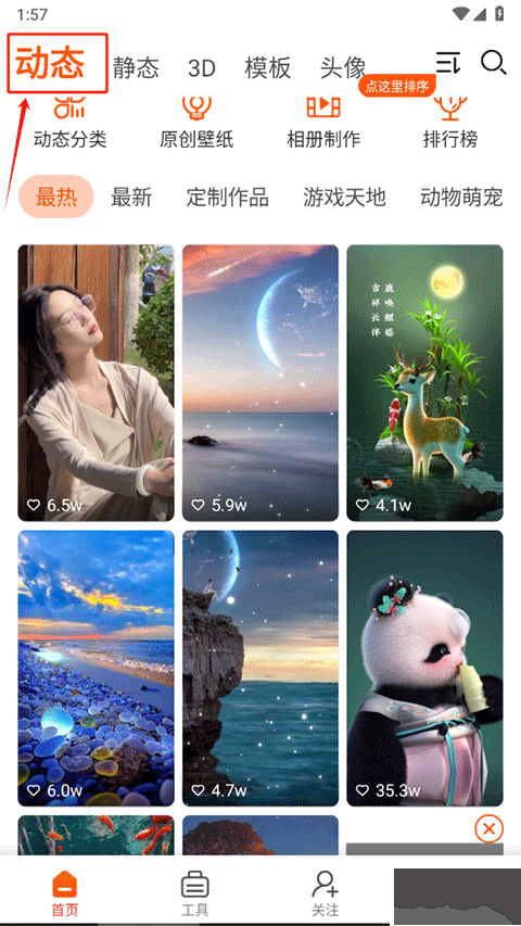 壁紙精靈app