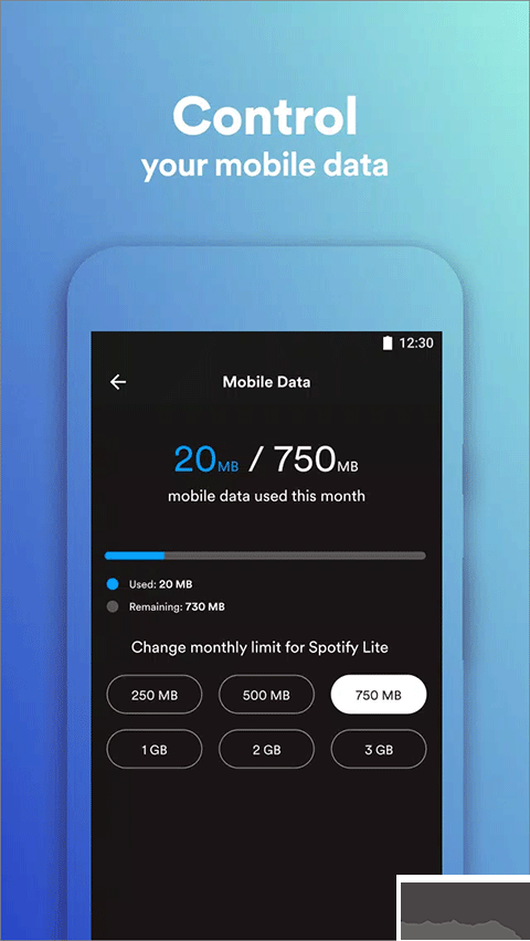 Spotify Liteapp