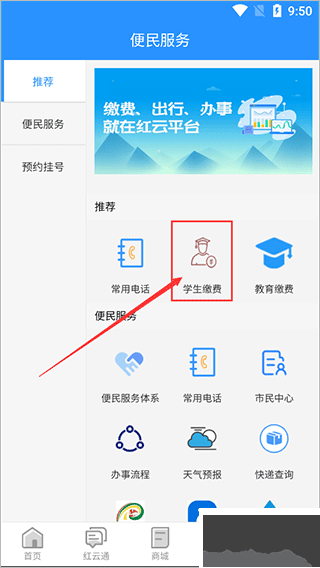 江安紅云