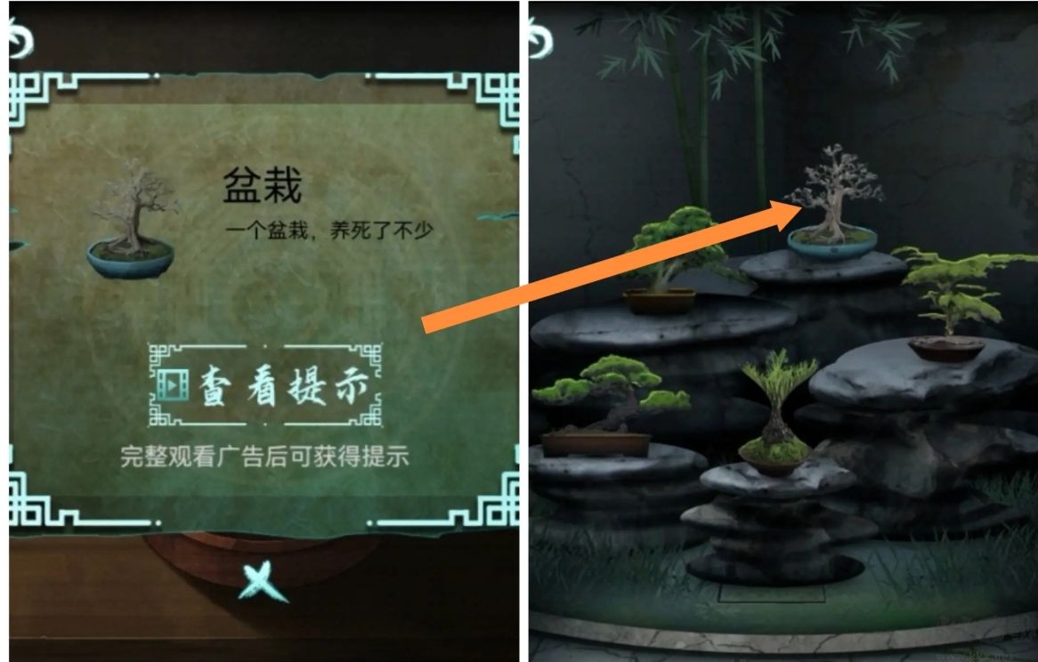 道道道人間道
