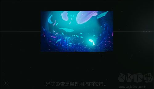 鯉