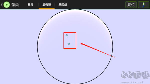 細胞實驗室（Cell Lab）