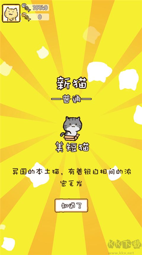 貓咪庭院物語正版