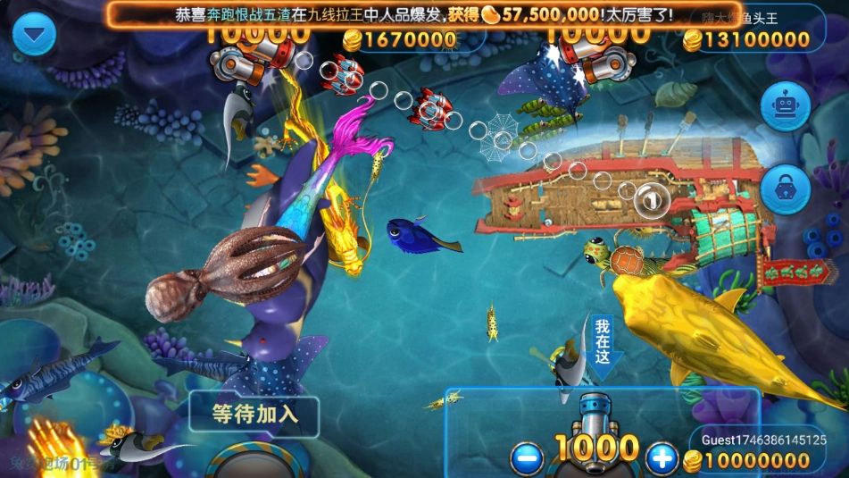 神殿OL2025新版